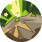 特殊清洁场景