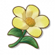 向阳花