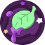 生物碱