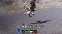 精英怪-強暴なオオハヤブサ.png