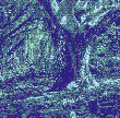 Locations icon.gif