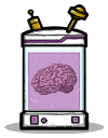 大脑罐.png