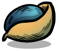 烘烤拟种.png