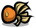 漫花果.png