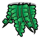 海梳蕨.png