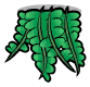 海梳蕨.png
