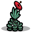 环玫花.png