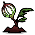 贫瘠虫果芽.png