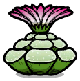 安宁芷.png