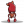 彩斑鱿