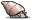缓螺