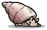 缓螺.png