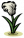 顶针芦苇