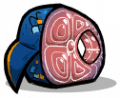 颚鱼片.png