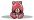 彩斑鱿幼体