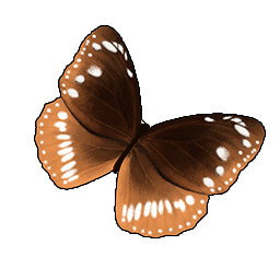 物品图标 幻紫斑蝶.png