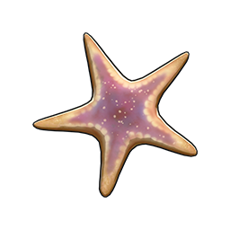 物品图标 多棘海盘车.png