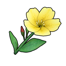 物品图标 深色月见草.png