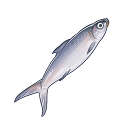 物品图标 虱目鱼.png