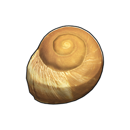 物品图标 扁玉螺.png