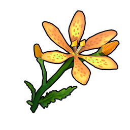 物品图标 橙色射干.png