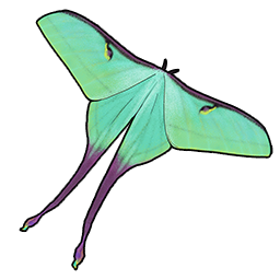 物品图标 长尾大蚕蛾-母.png