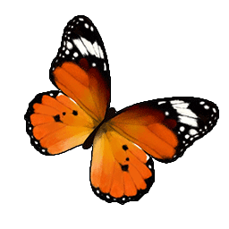 物品图标 金斑蝶.png