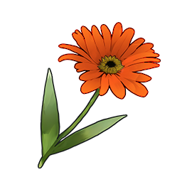 物品图标 棕色雏菊.png