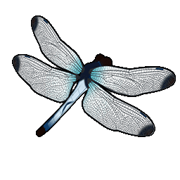 物品图标 狞猎蜻蜓.png