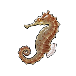 物品图标 海马.png