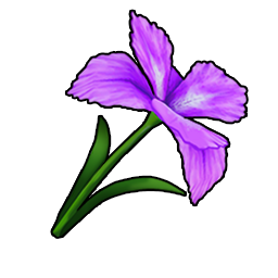 物品图标 典雅鸢尾花.png