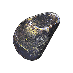 物品图标 牛角江珧蛤.png