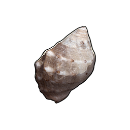 物品图标 颗粒玉黍螺.png