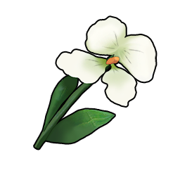 物品图标 素色姜花.png