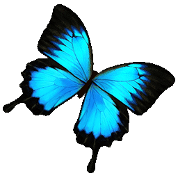 物品图标 英雄翠凤蝶.png