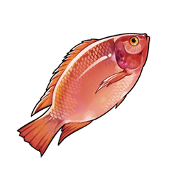 物品图标 红罗非鱼.png