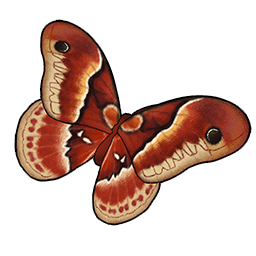 物品图标 普罗米修斯蚕蛾.png