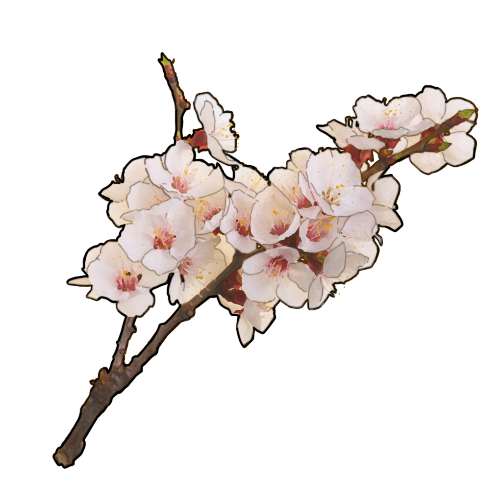 F-11X 樱庭世界·夜收藏品010.png