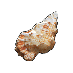 物品图标 大白蛙螺.png