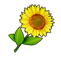 物品图标 黄色向日葵.png