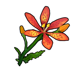 物品图标 红色射干.png