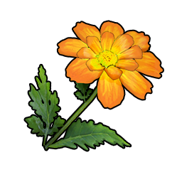 物品图标 黄色硫华菊.png