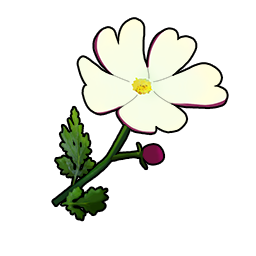 物品图标 素色夜香福禄考.png