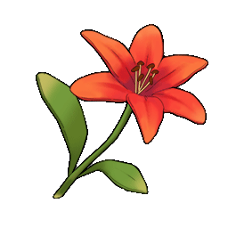 物品图标 红色百合.png