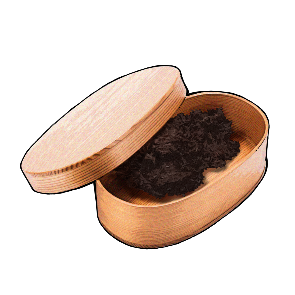 F-11X 樱庭世界·夜收藏品003.png