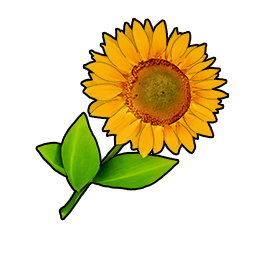 物品图标 褐色向日葵.png