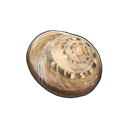 物品图标 托氏䗉螺.png