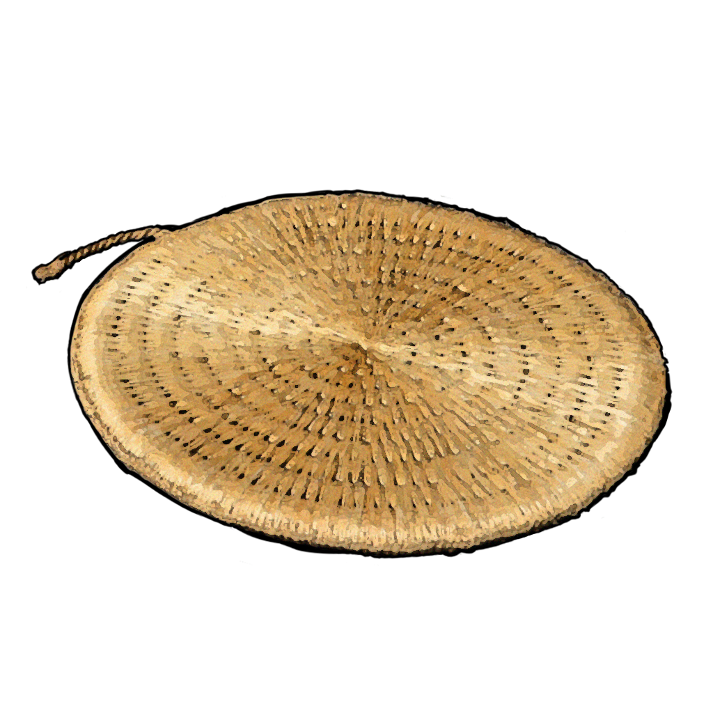 F-11X 樱庭世界·夜收藏品031.png