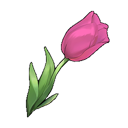 物品图标 粉色郁金香.png