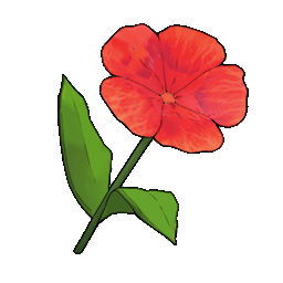 物品图标 红色小花.png